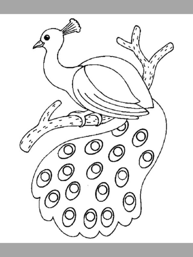 tô màu con công (13)