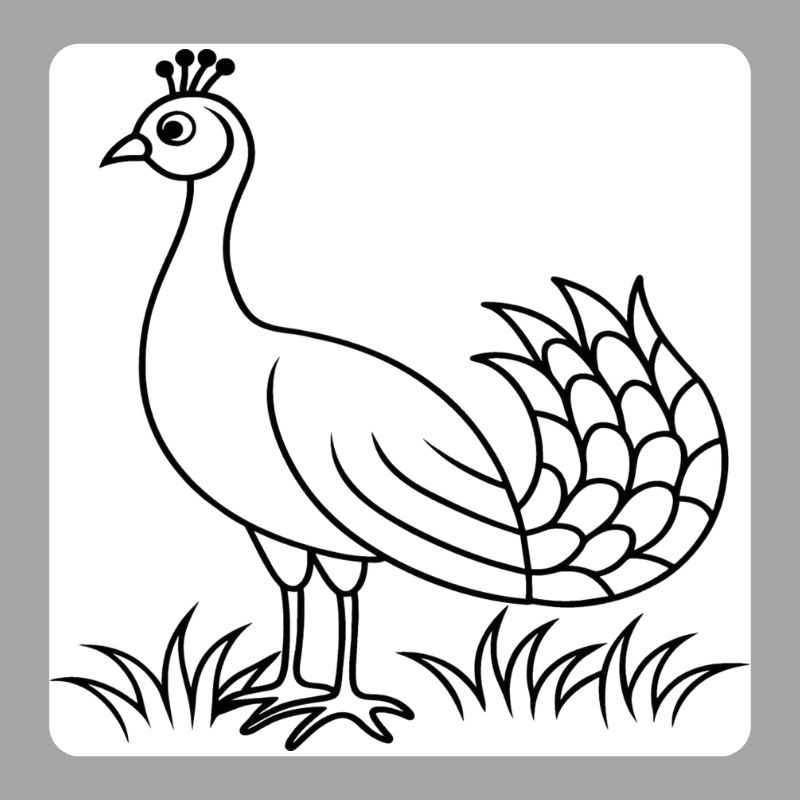 tô màu con công (19)