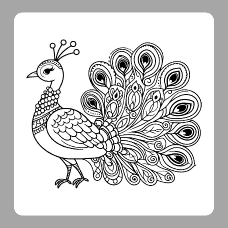 tô màu con công (24)