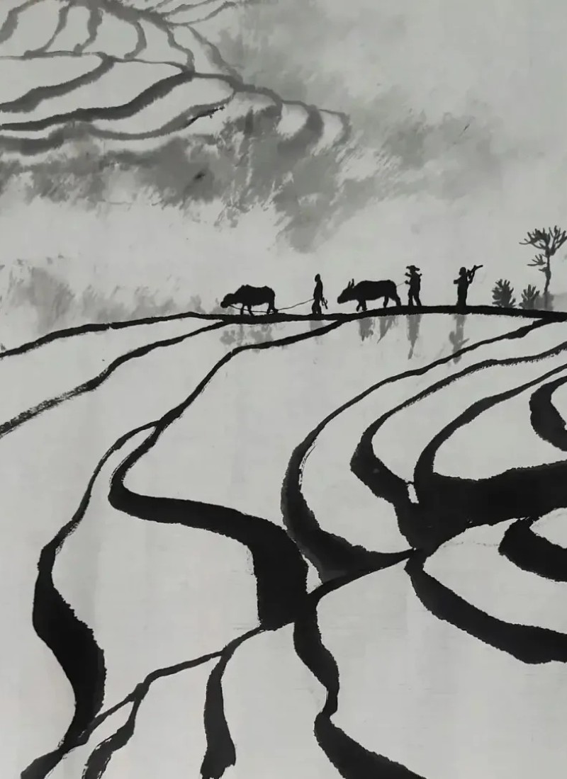 tranh vẽ ruộng bậc thang 13