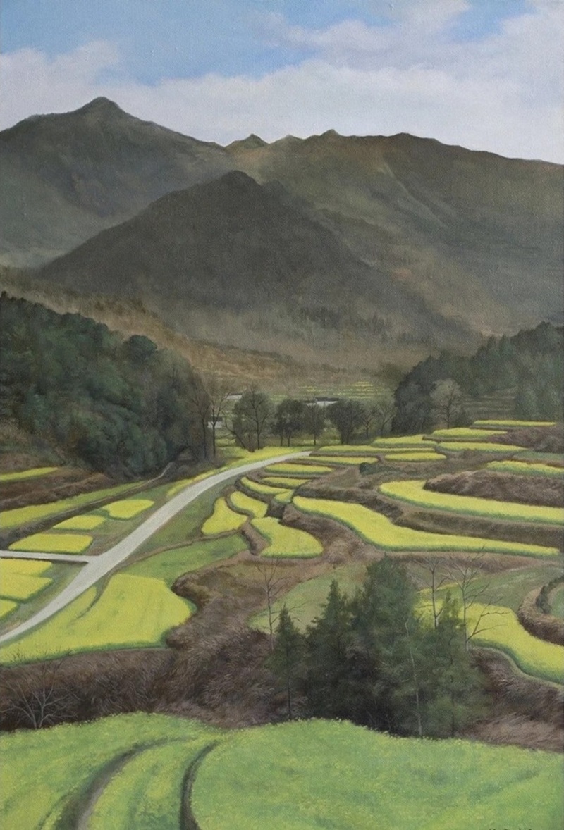 tranh vẽ ruộng bậc thang 16