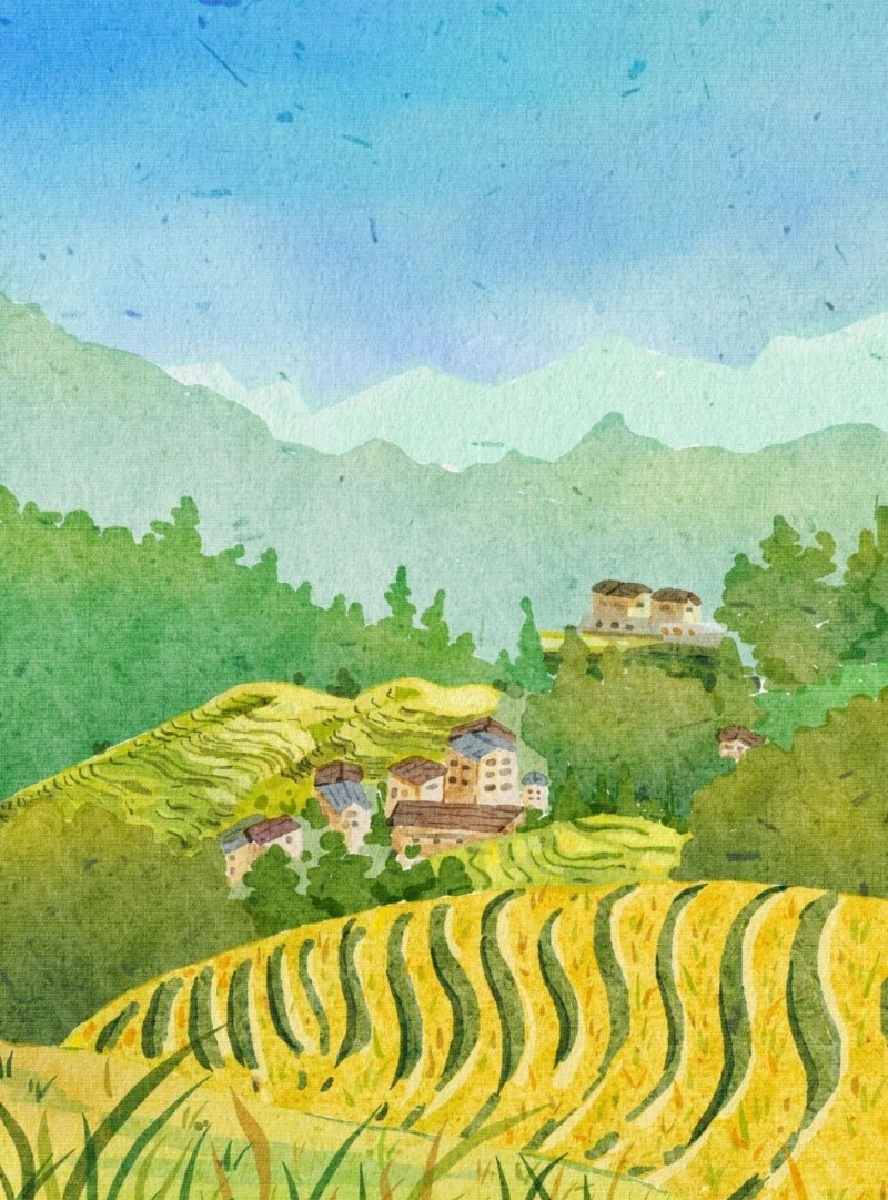 tranh vẽ r19uộng bậc thang 