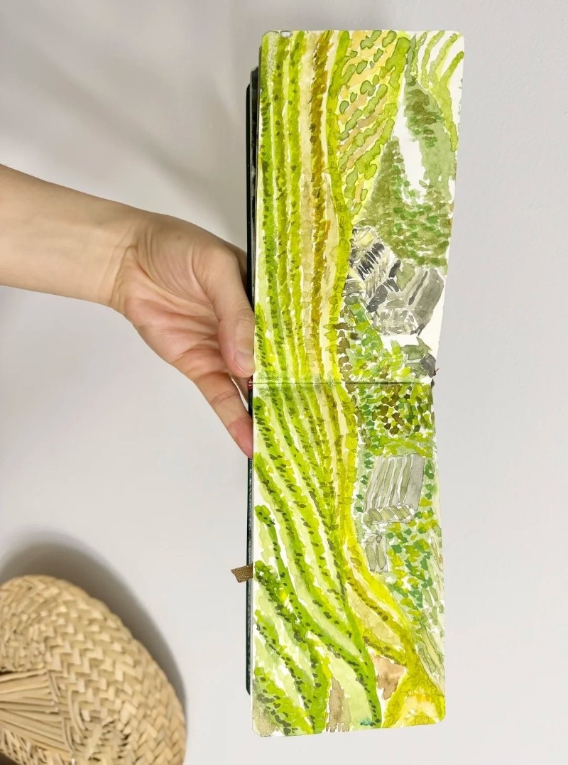 tranh vẽ ruộng bậc thang 20