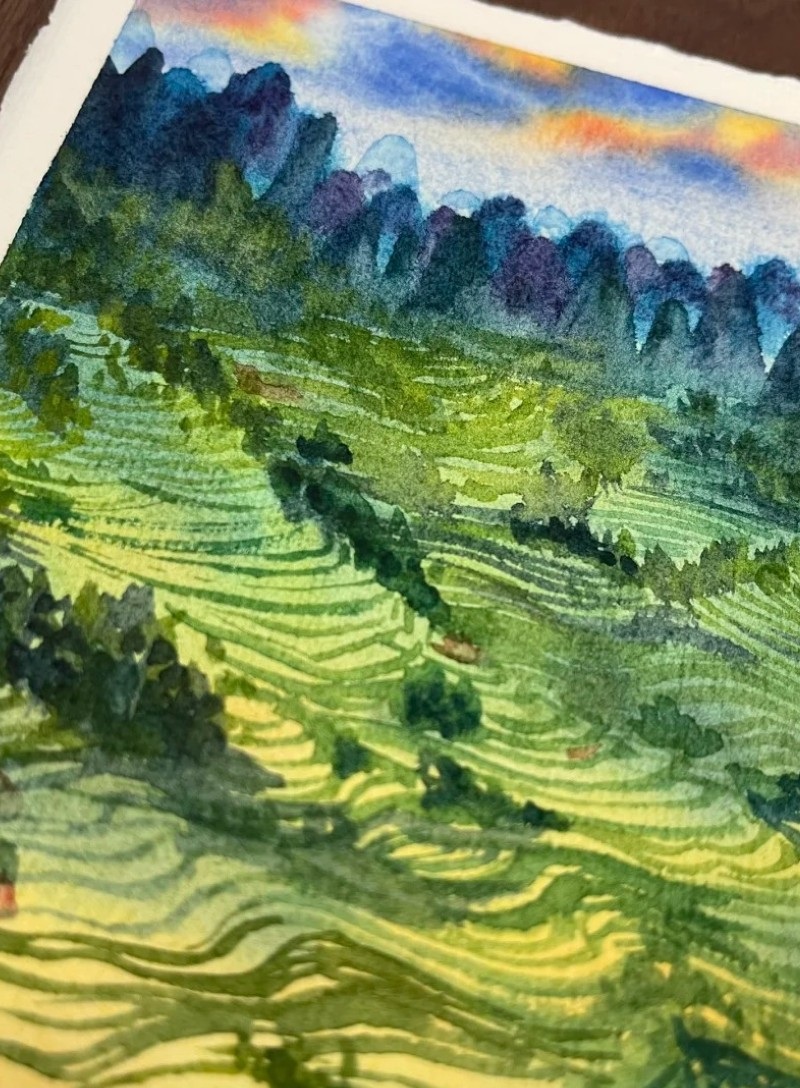 tranh vẽ ruộng bậc thang 32