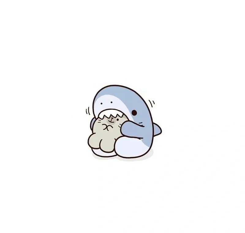 cá mập chibi 12