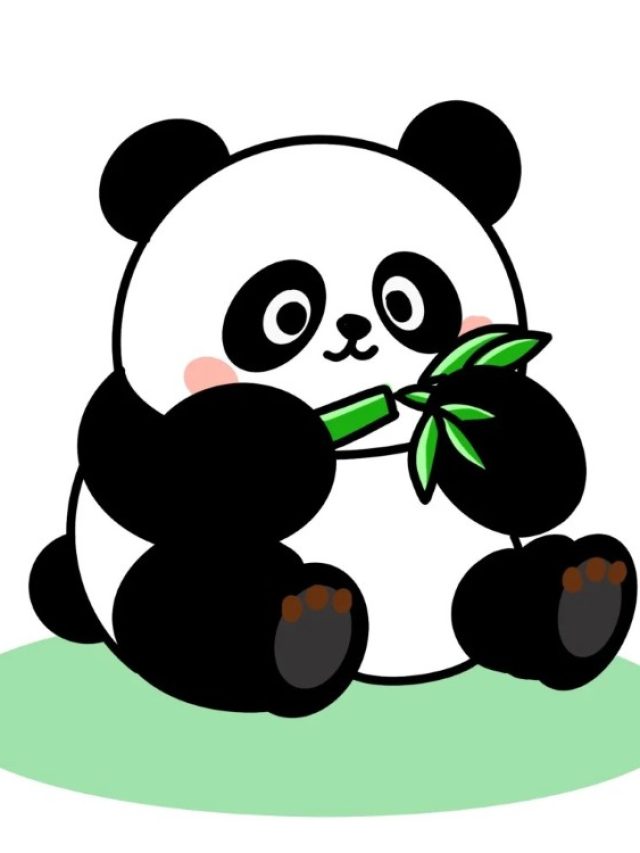 gấu trúc chibi 19