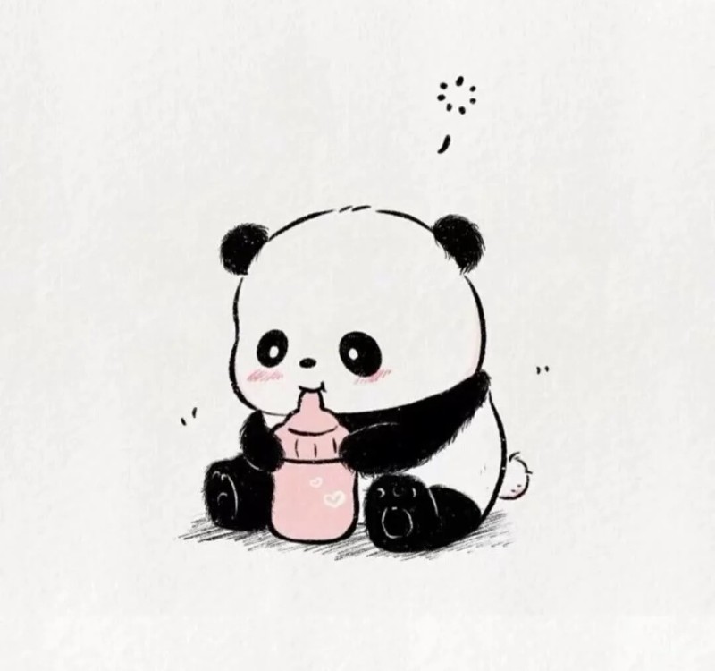 gấu trúc chibi 23