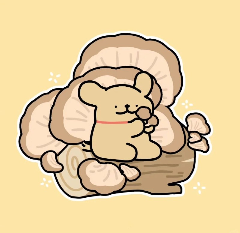 nấm chibi 31