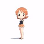 one piece chibi cute