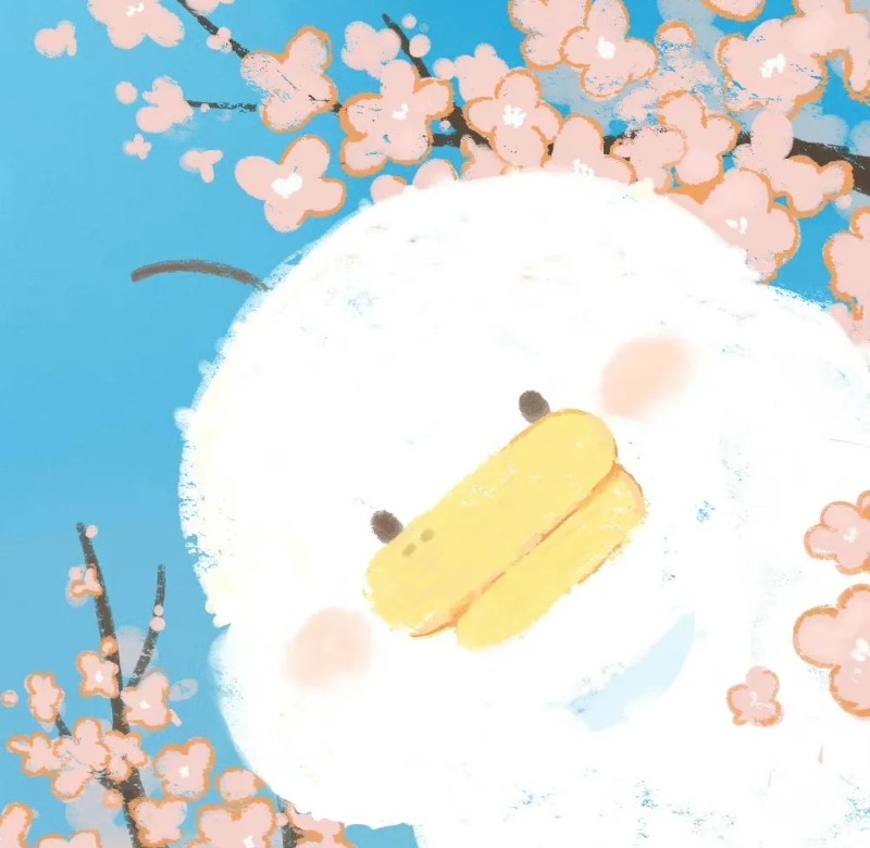 vịt chibi 19
