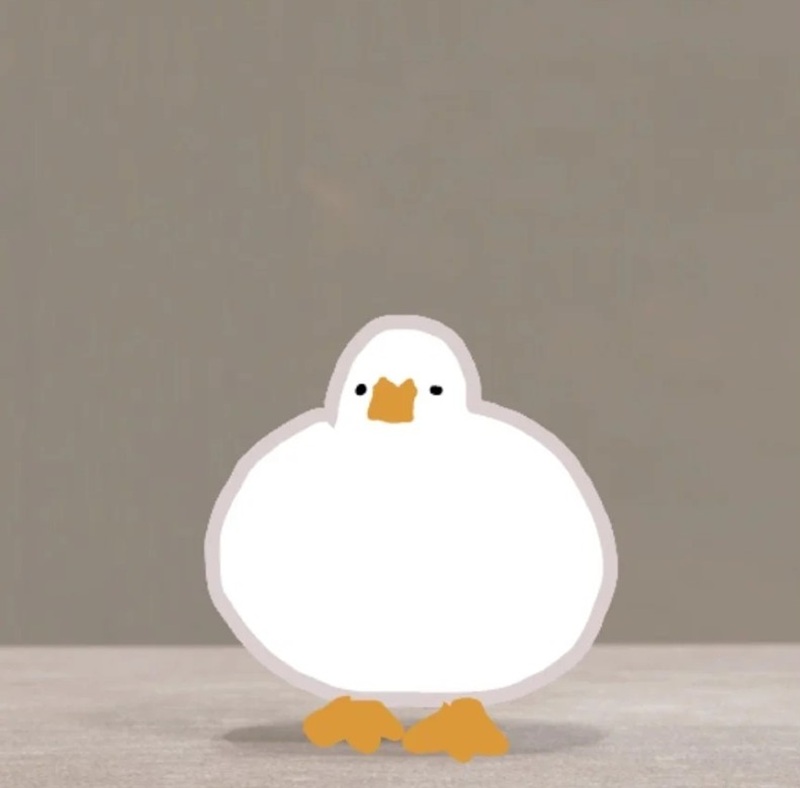 vịt chibi 30