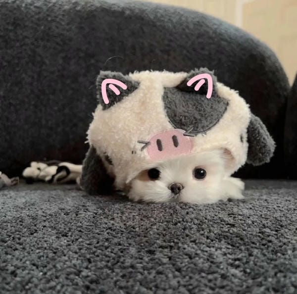 avatar buồn cute nữ avatar buồn cute nữ