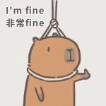 avatar capybara vô tri (17)