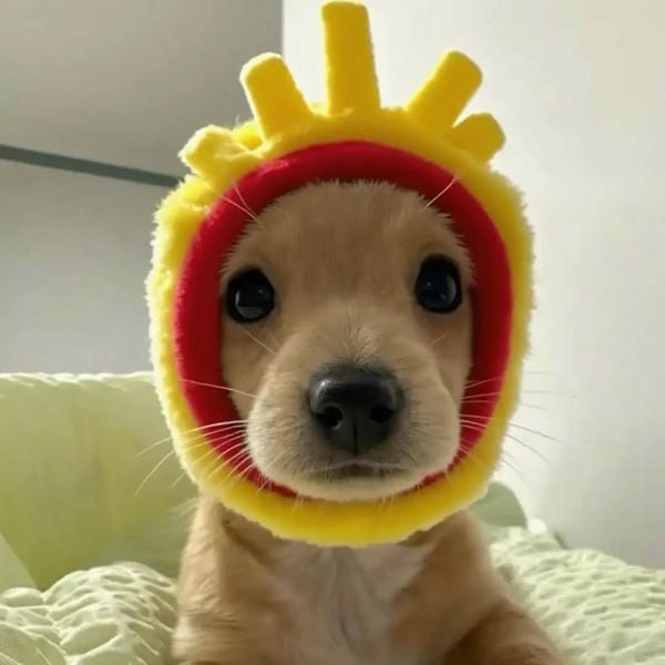 avatar chó cute (24)