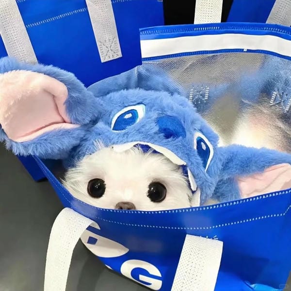 avatar chó cute (3)
