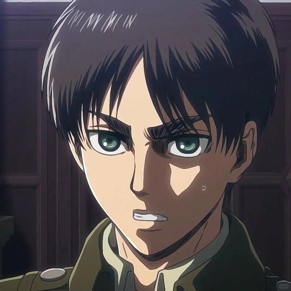 avatar eren (13)