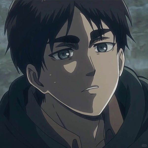 avatar eren (16)