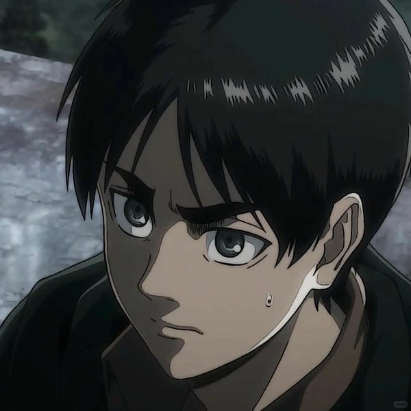 avatar eren (18)
