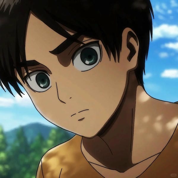 avatar eren (20)