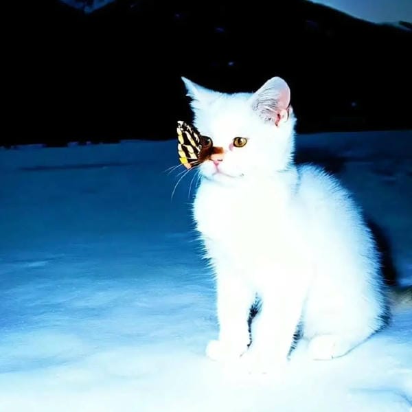 avatar màu xanh dương cute (8)
