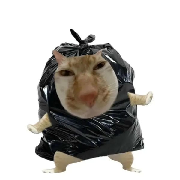 avatar mèo vô tri (19)