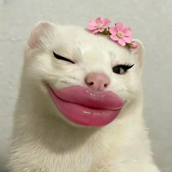 avatar tiktok vô tri (31)