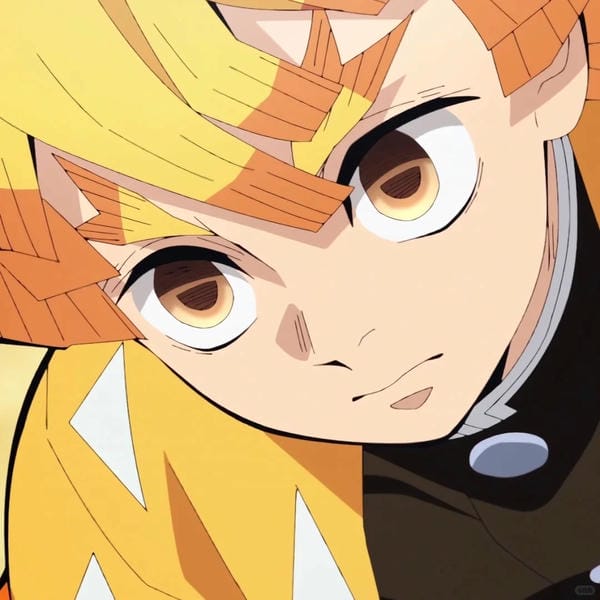 avatar zenitsu (13)