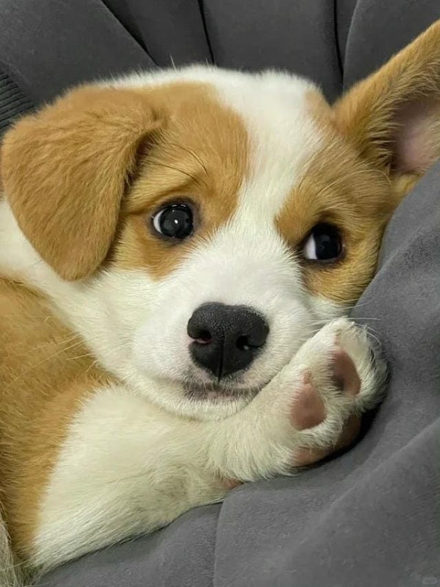 cropped avatar cho vo tri 16.jpg