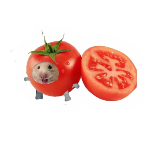 hình ảnh chuột hamster hài hước (30)