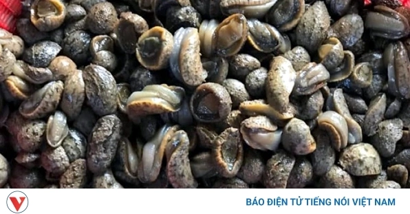 ba-chan-la-ai-giai-ma-hien-tuong-khac-nghiet-va-cach-bao-ve-_865