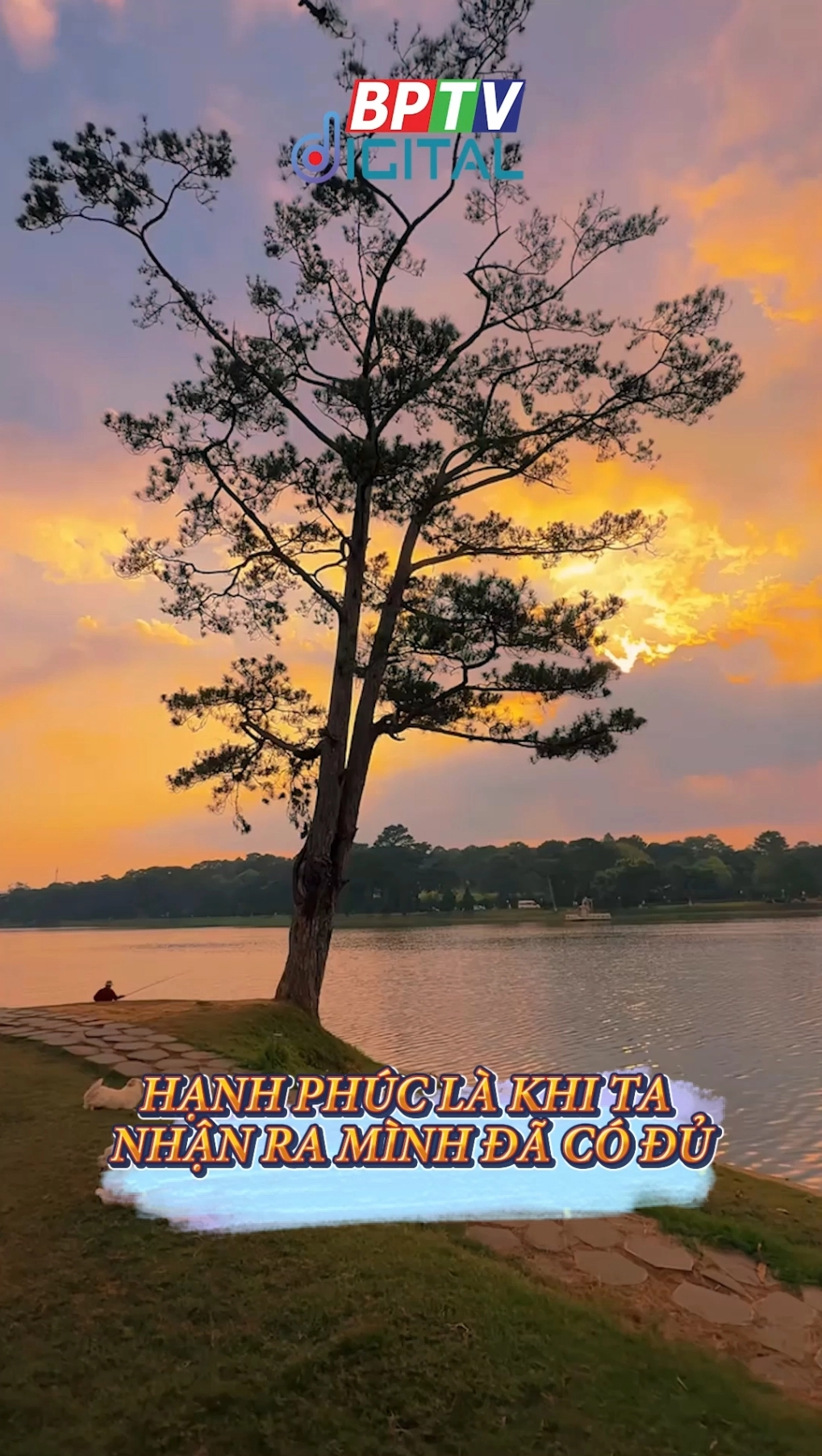 Hạnh phúc là khi ta nhận ra mình có đủ