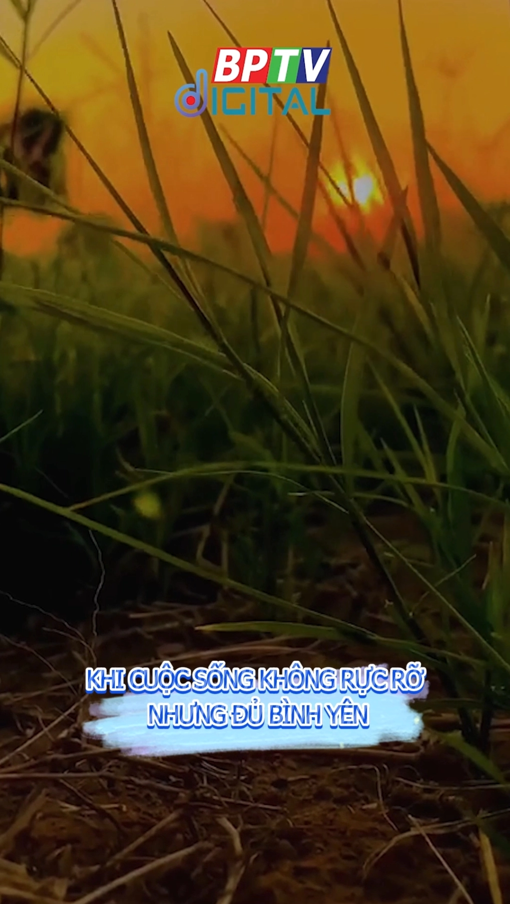 Nếu cuộc đời này không rực rỡ cũng không sao, miễn là chúng ta thấy bình yên