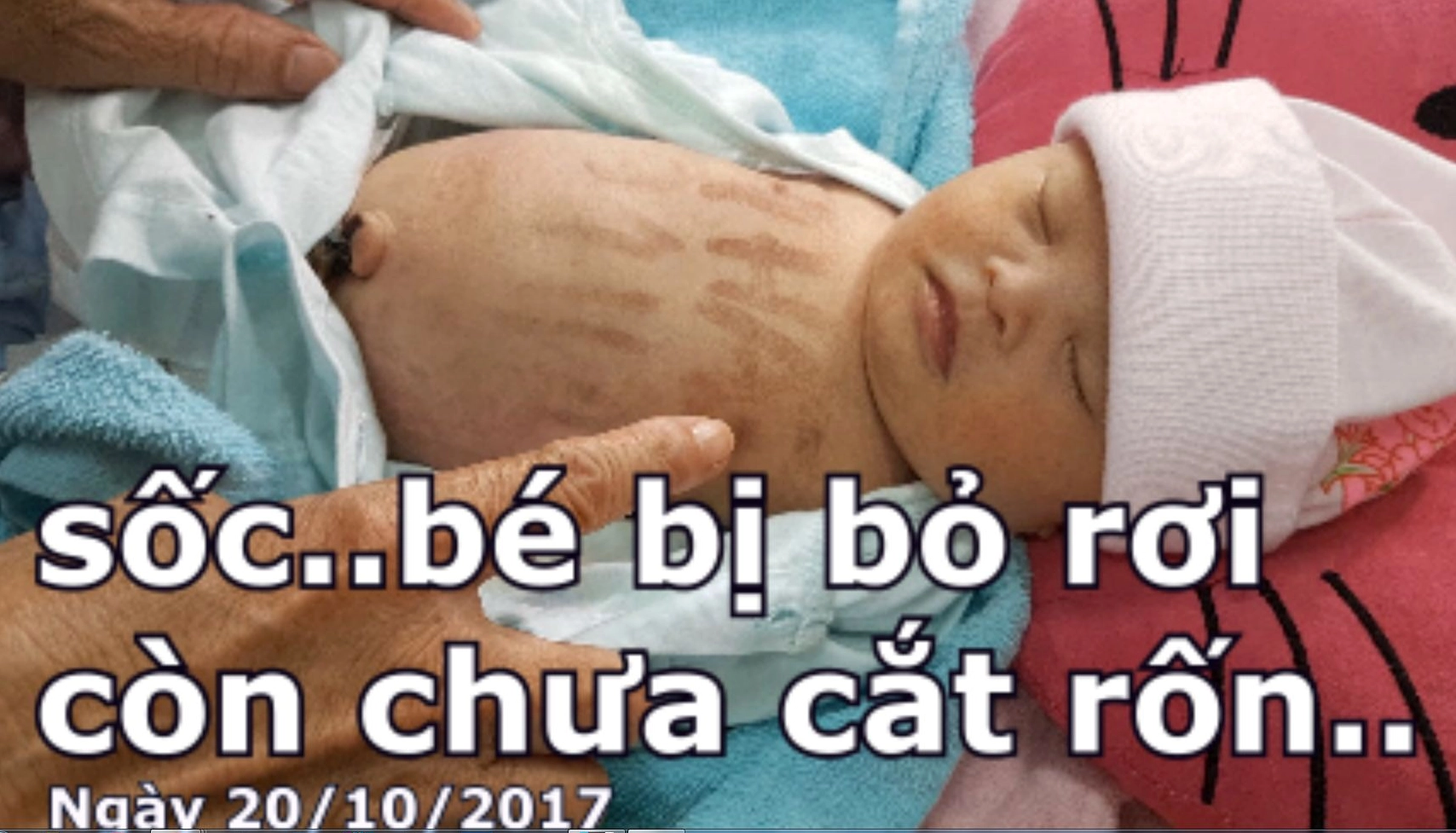 Thành viên mới tại Trung tâm nhân đạo Quê Hương
