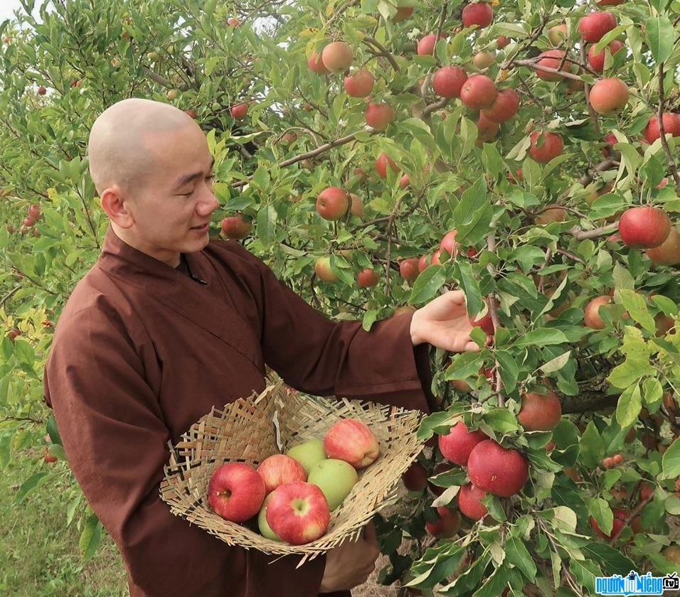 Thầy Thích Tâm Nguyên hiền từ bên vườn táo