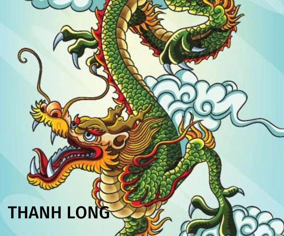 Ý nghĩa Tứ tượng-Thanh long Bạch hổ Chu tước Huyền vũ trong phong thủy