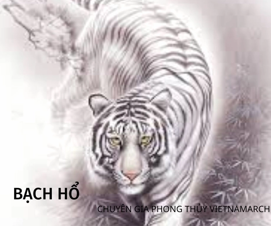 Ý nghĩa Tứ tượng-Thanh long Bạch hổ Chu tước Huyền vũ trong phong thủy